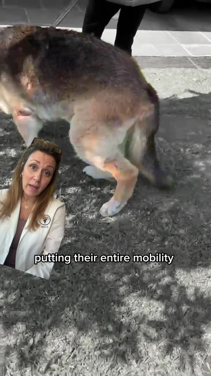 A frame from I’m Going to Show You